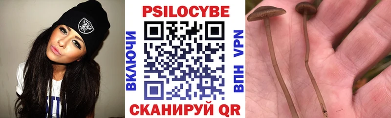 Купить где  Лангепас  Псилоцибиновые грибы прущие грибы 